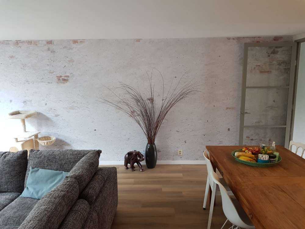 Vieux mur avec crépi