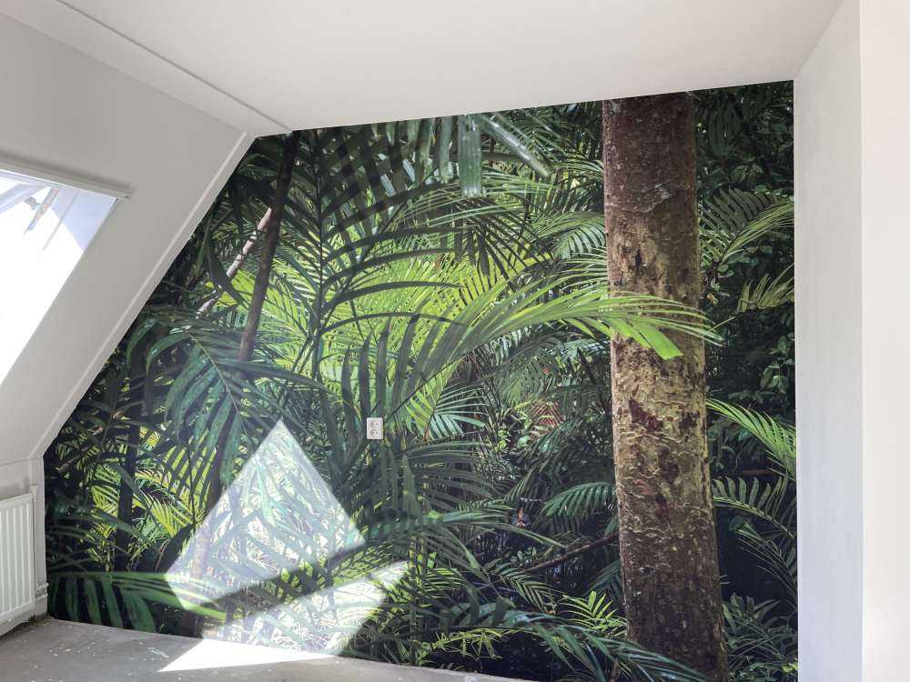 Forêt tropicale humide