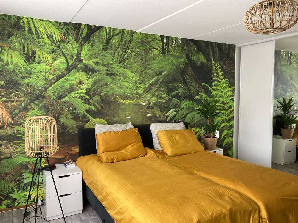 Rivière dans la forêt tropicale