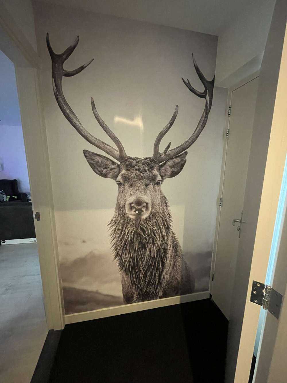 Gros cerf
