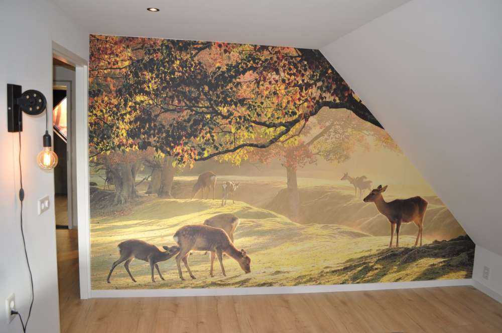 Cerfs à la campagne