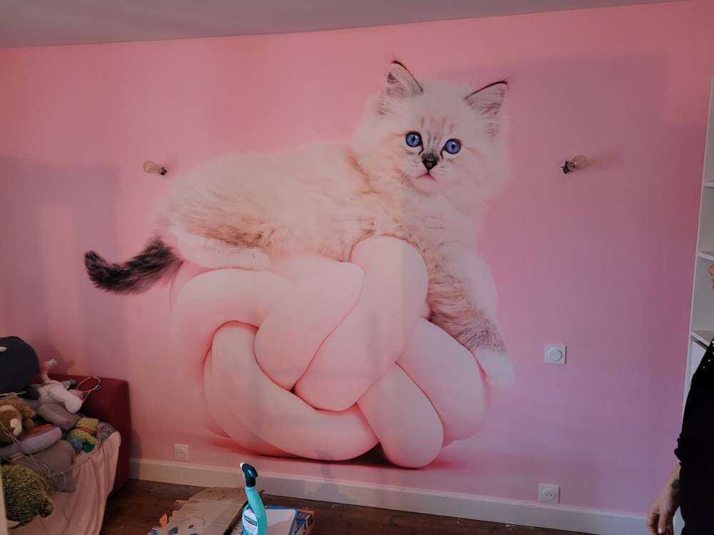 Chat blanc sur fond rose
