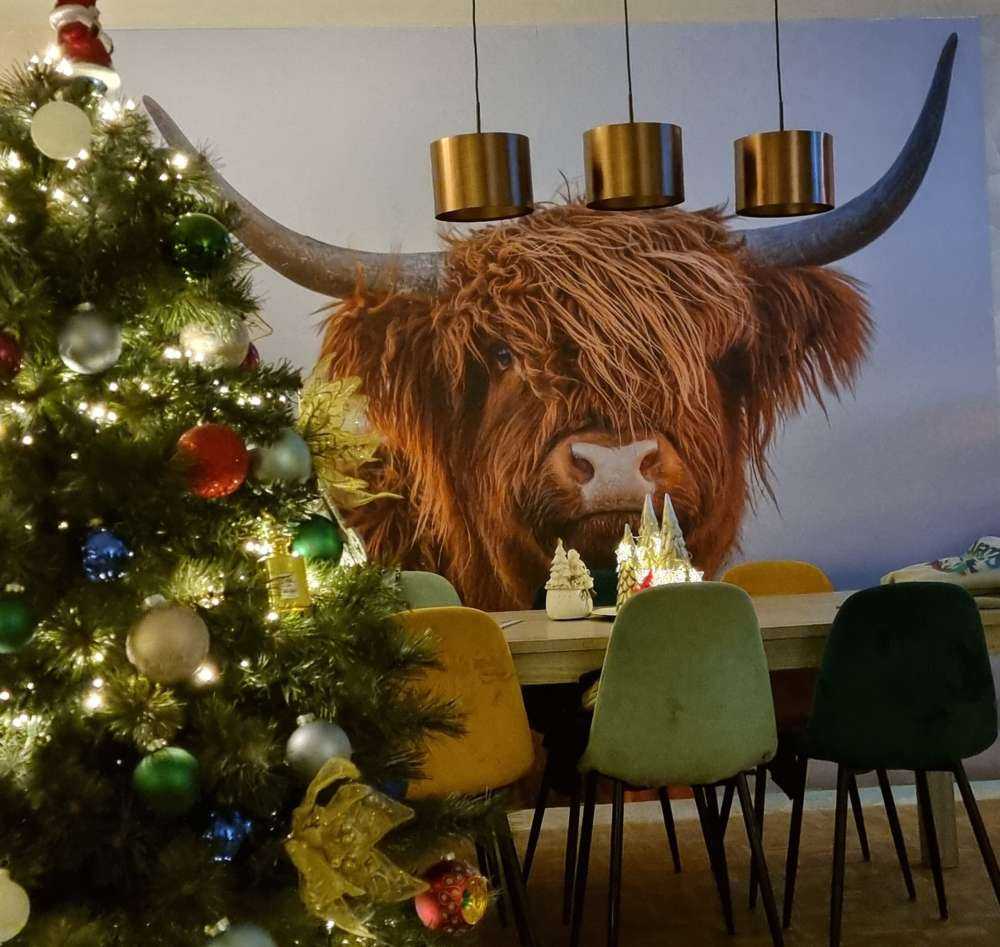 Le Highland écossais en vedette