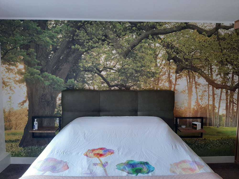 Espace ouvert dans la forêt