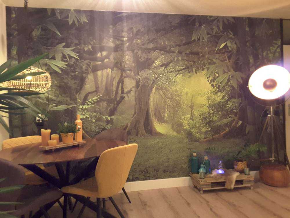 Jungle tropicale