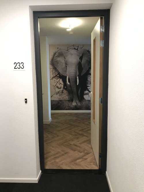 L'éléphant en 3D depuis le mur