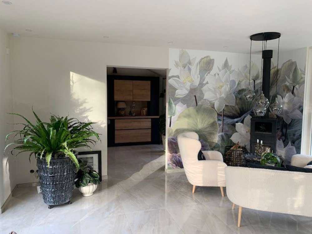 Plantes aquatiques