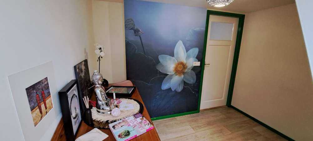 Fantasy Lotus