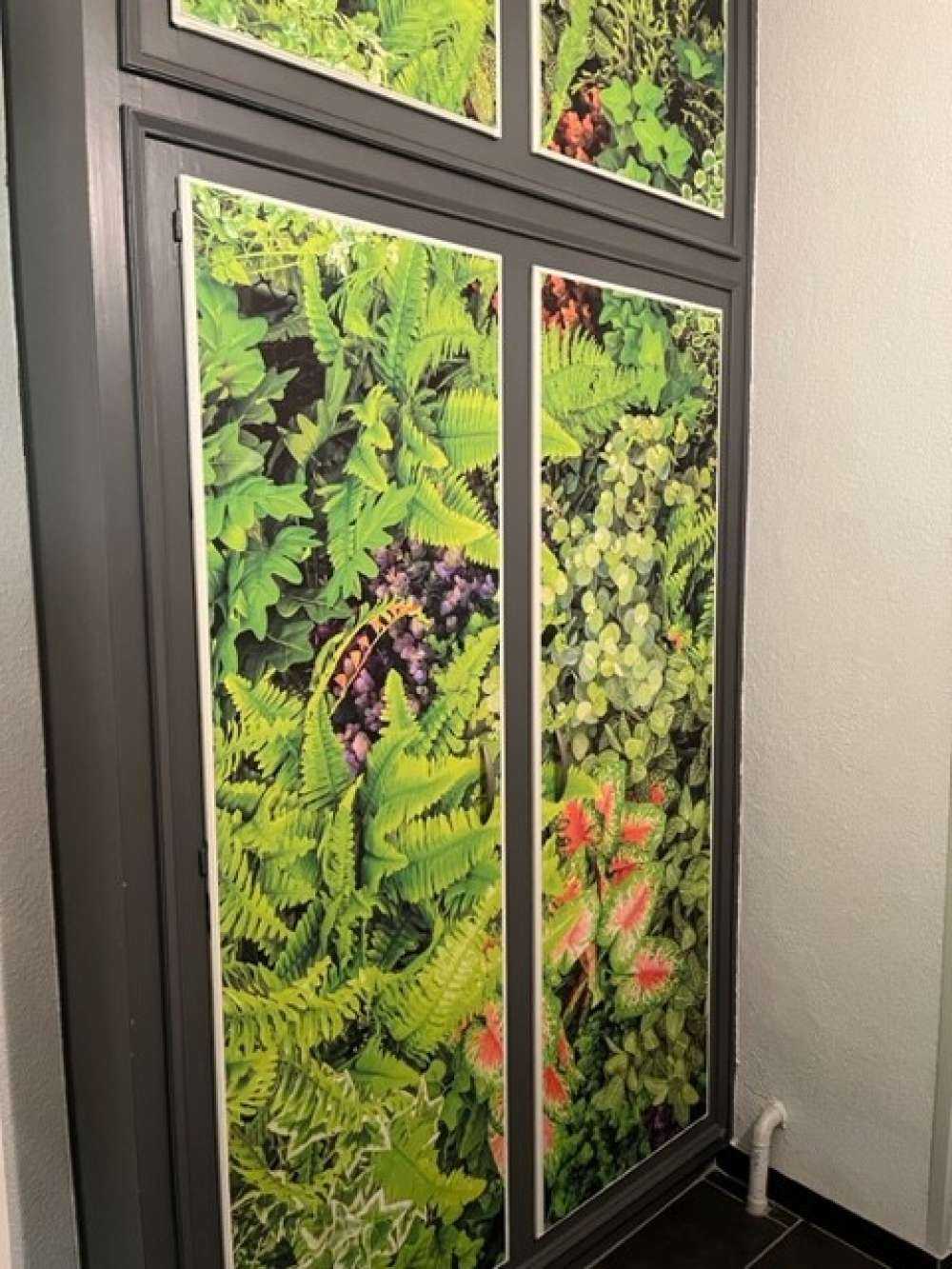Mélange de plantes