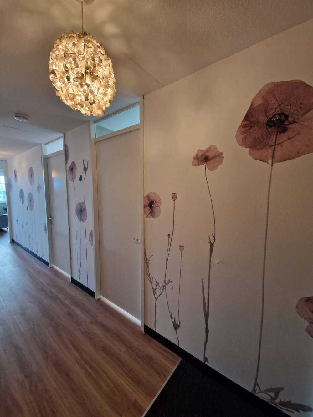 Champ de fleurs de coquelicots vintage