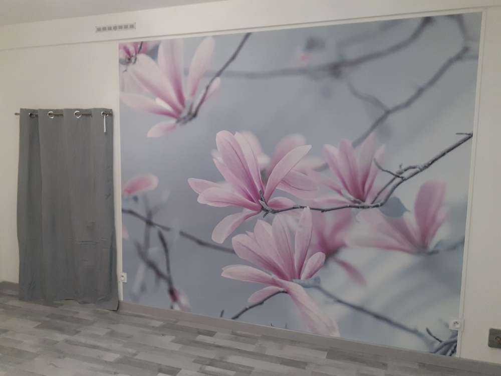 Fleurs de magnolia