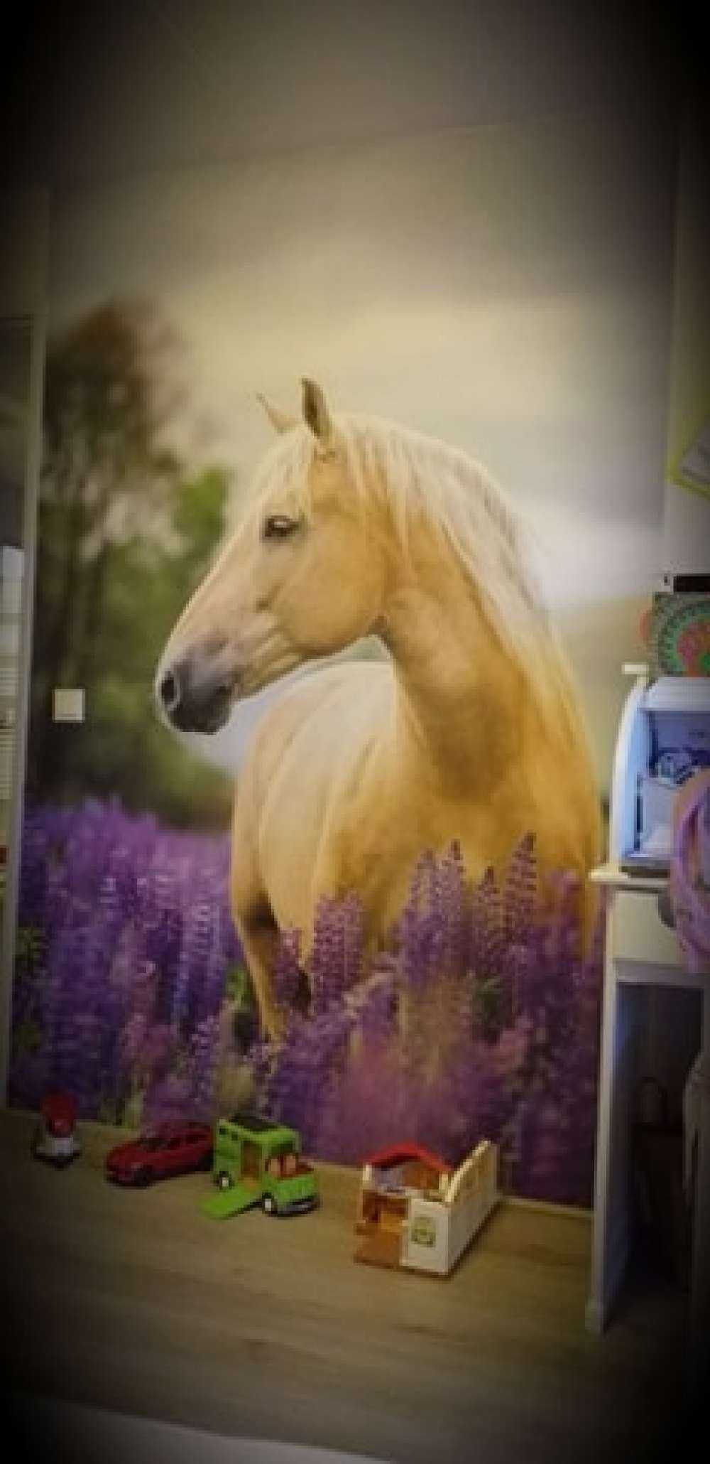 Cheval parmi les fleurs de papillon