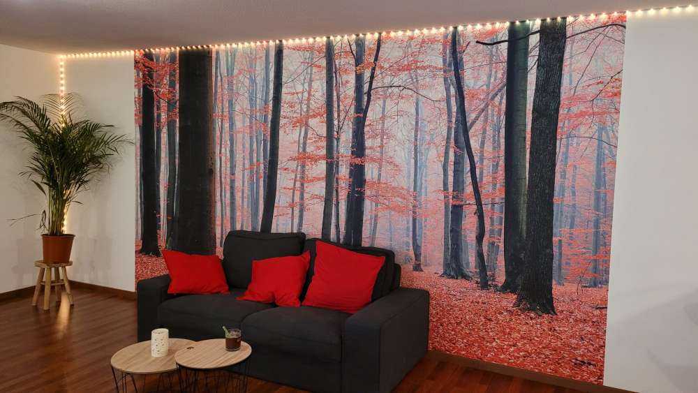 Forêt rouge
