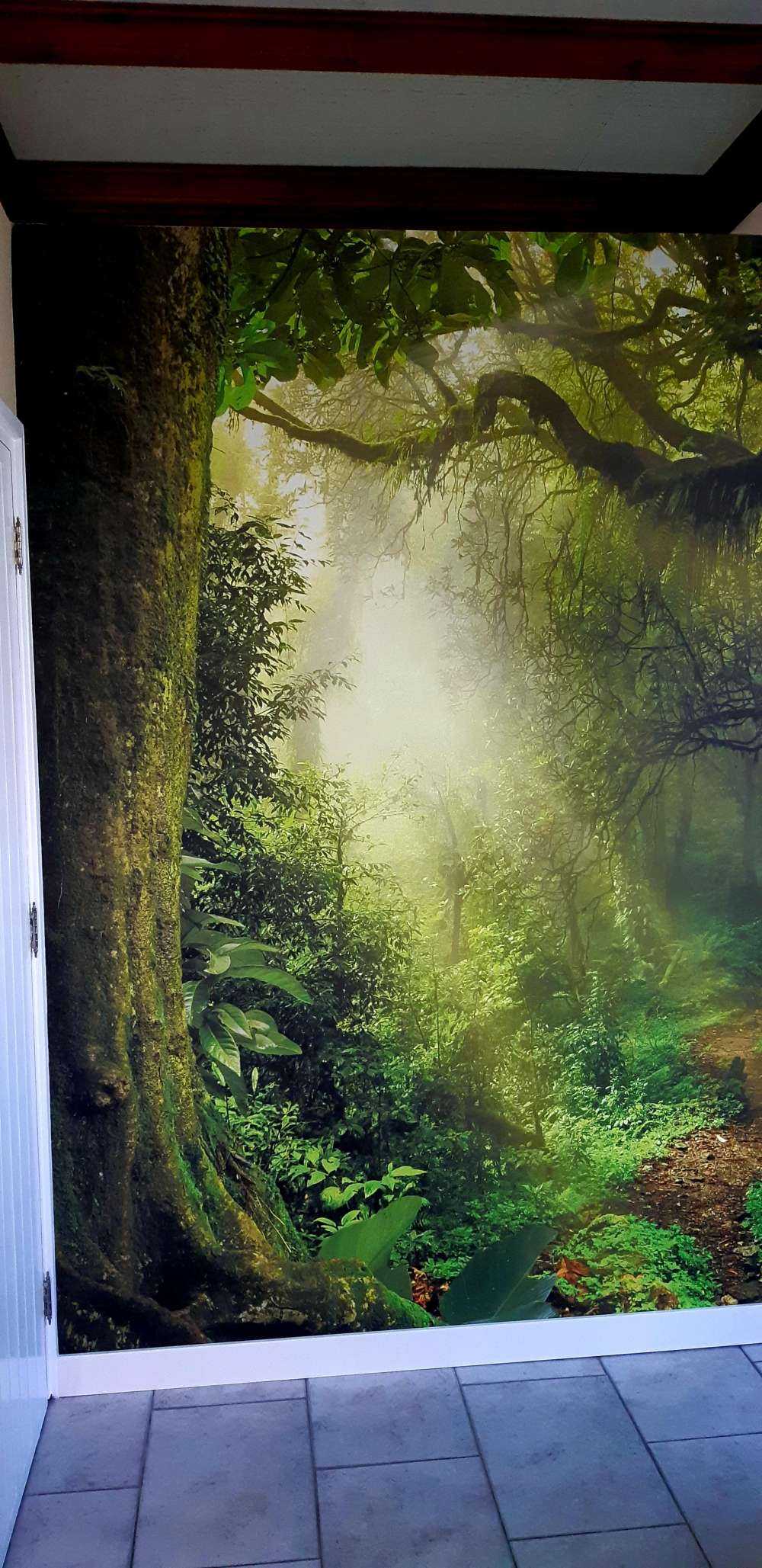 Jungle avec des rayons de soleil