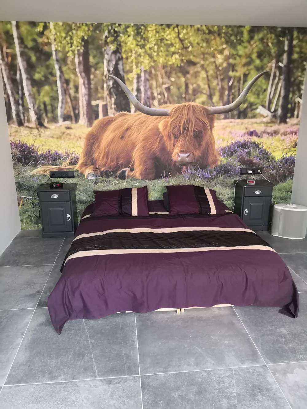 Le repos du Highland écossais