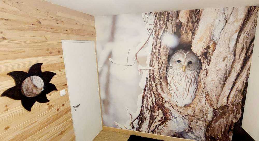 Chouette blanche dans un arbre creux