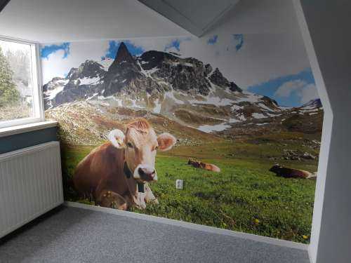 Vache autrichienne