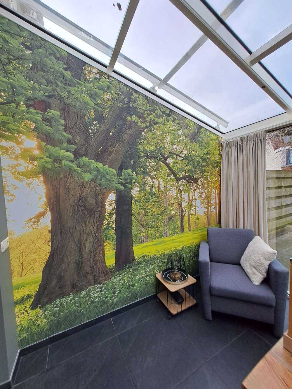 Espace ouvert dans la forêt