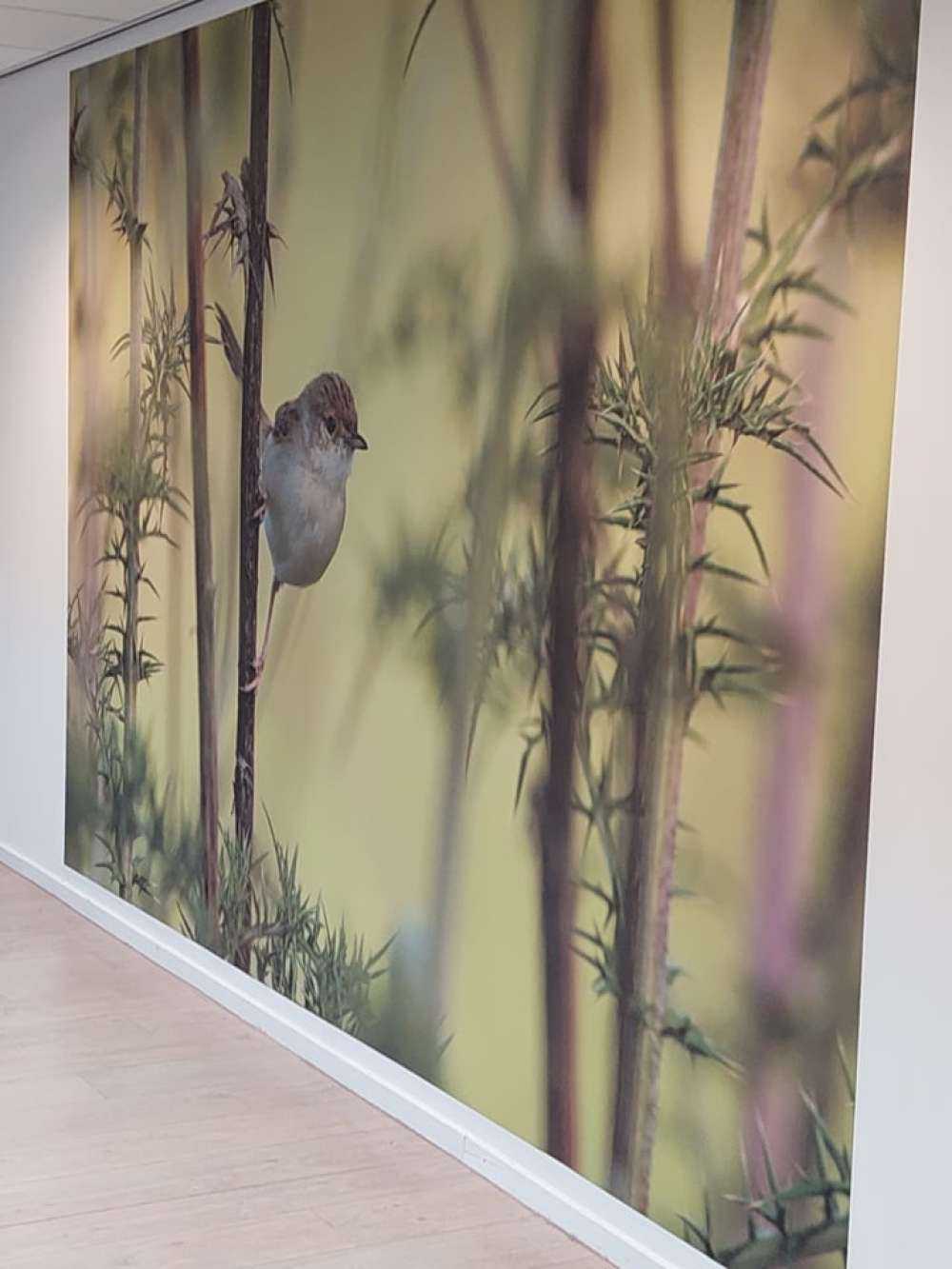 Oiseau sur une branche