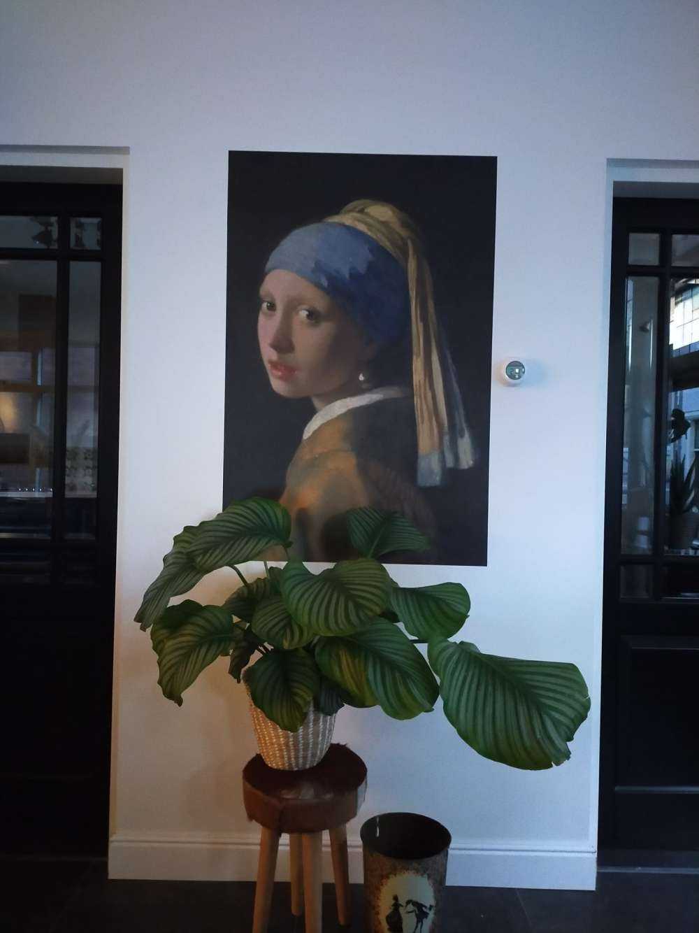 Fille à la perle