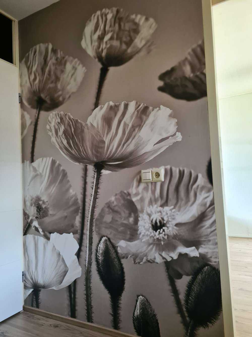 Coquelicots vintage