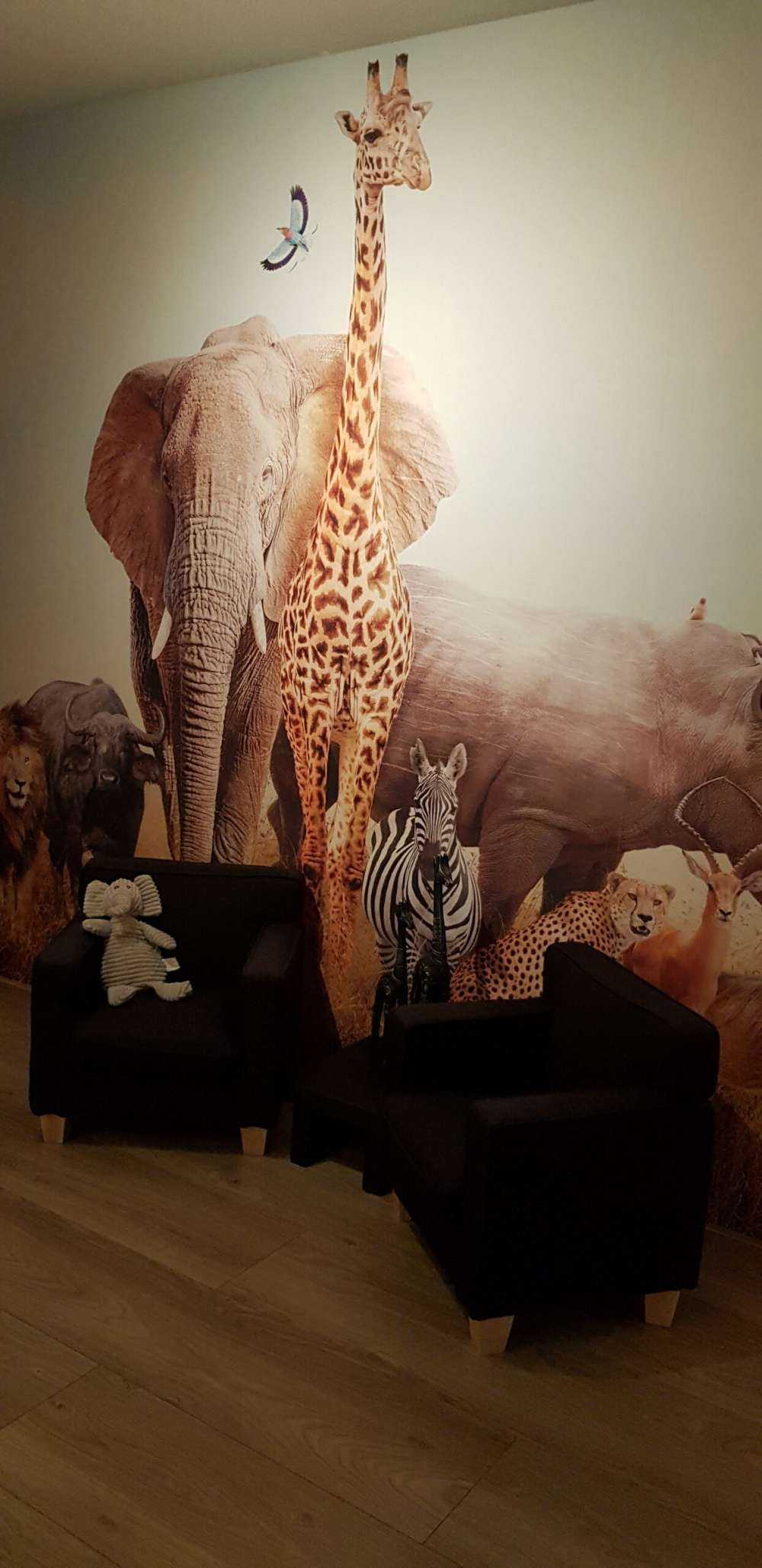 Animaux de la savane