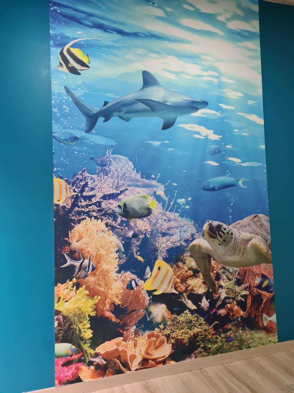 Poissons exotiques