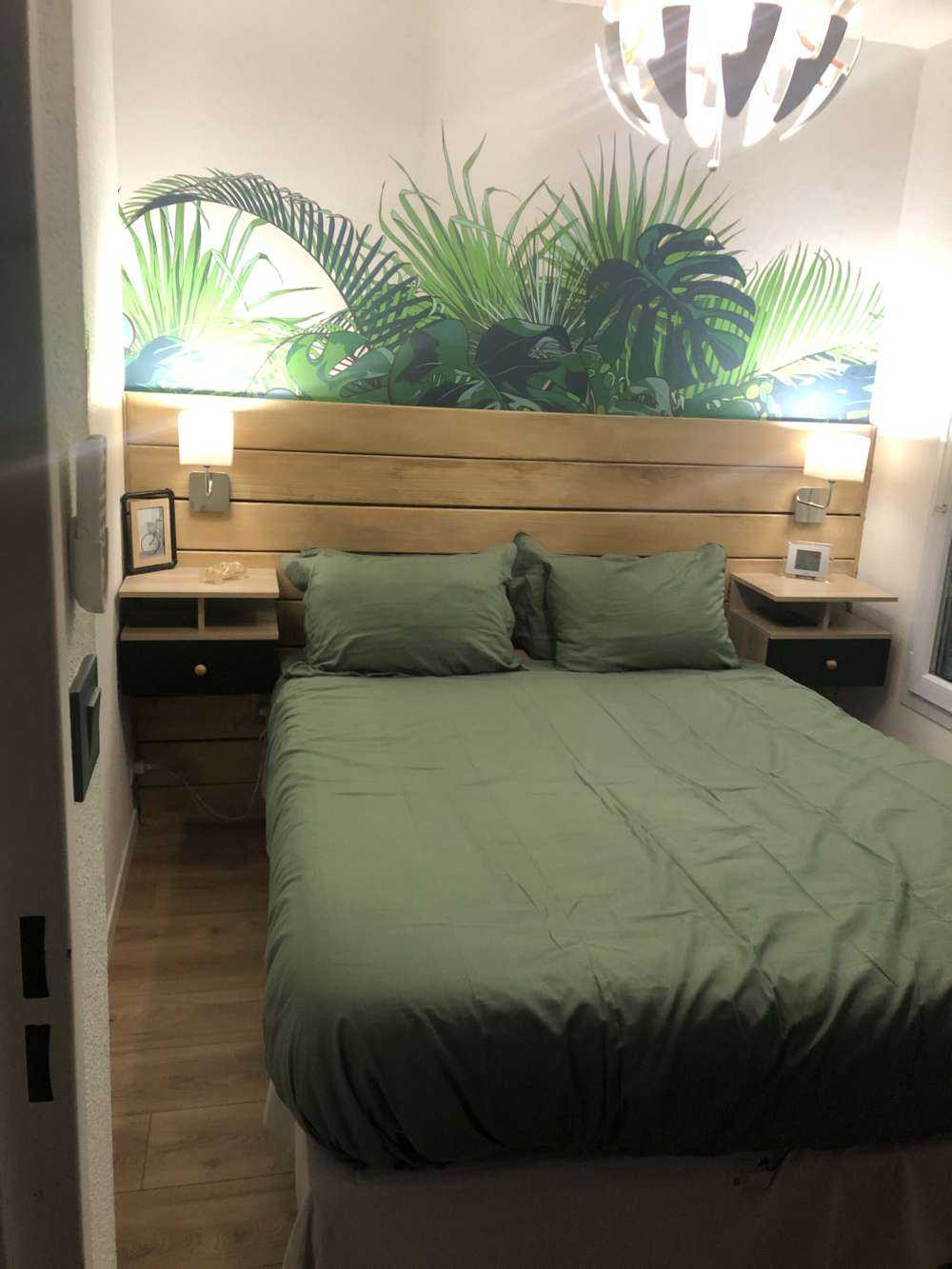 Palmiers tropicaux