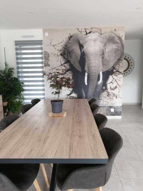 L'éléphant en 3D depuis le mur