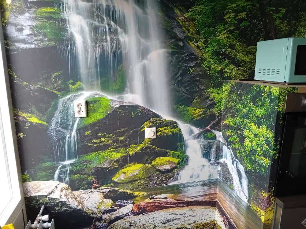 Chute d'eau de la jungle