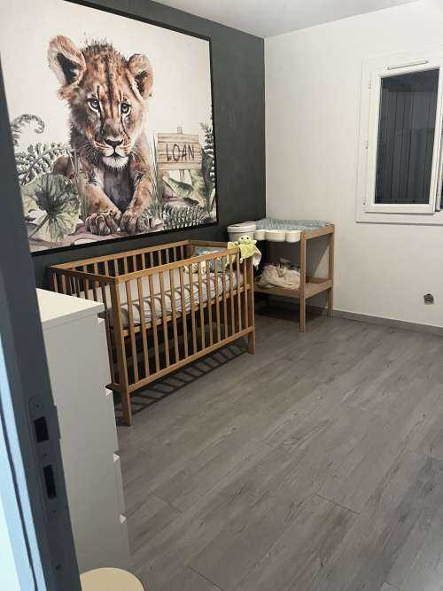 Bébé lion dans la jungle