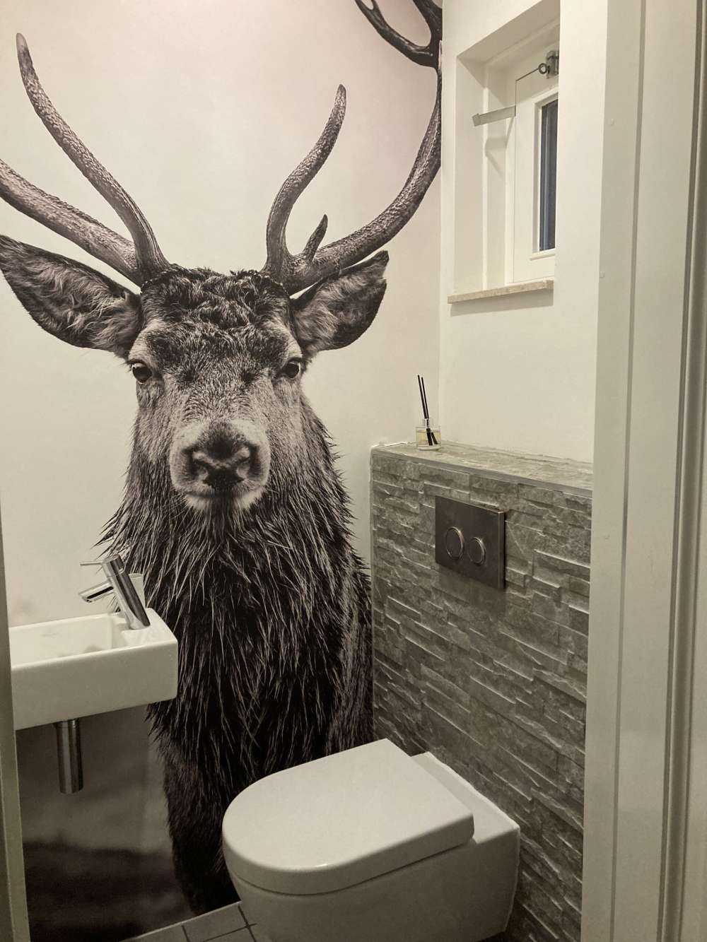 Gros cerf