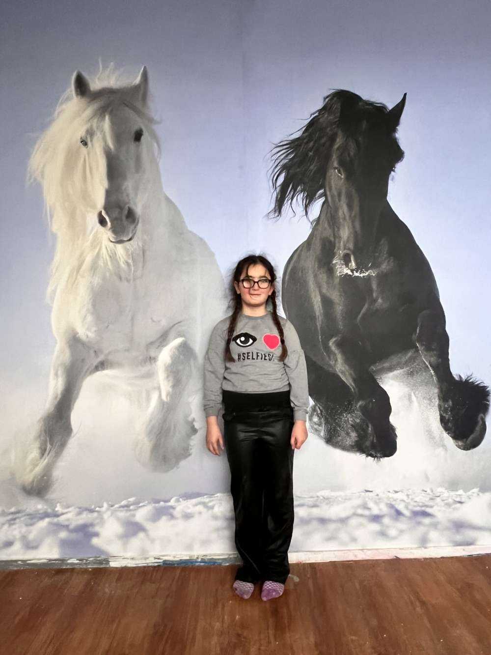 Cheval blanc et noir