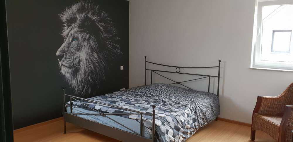 Lion aux yeux bleus