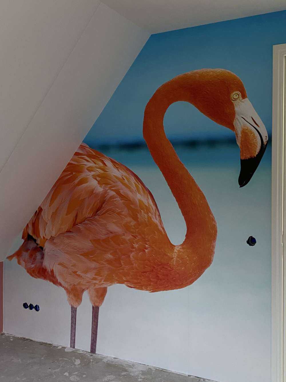 Flamant tropical