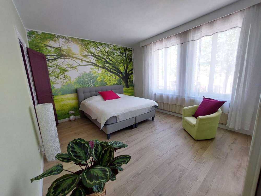 Bel arbre avec de l'herbe verte