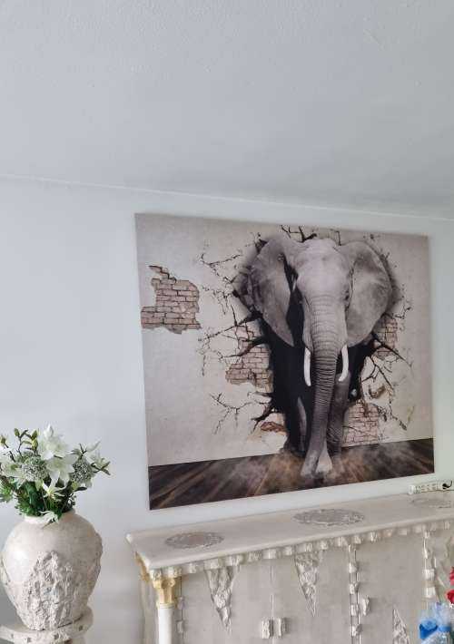 L'éléphant en 3D depuis le mur