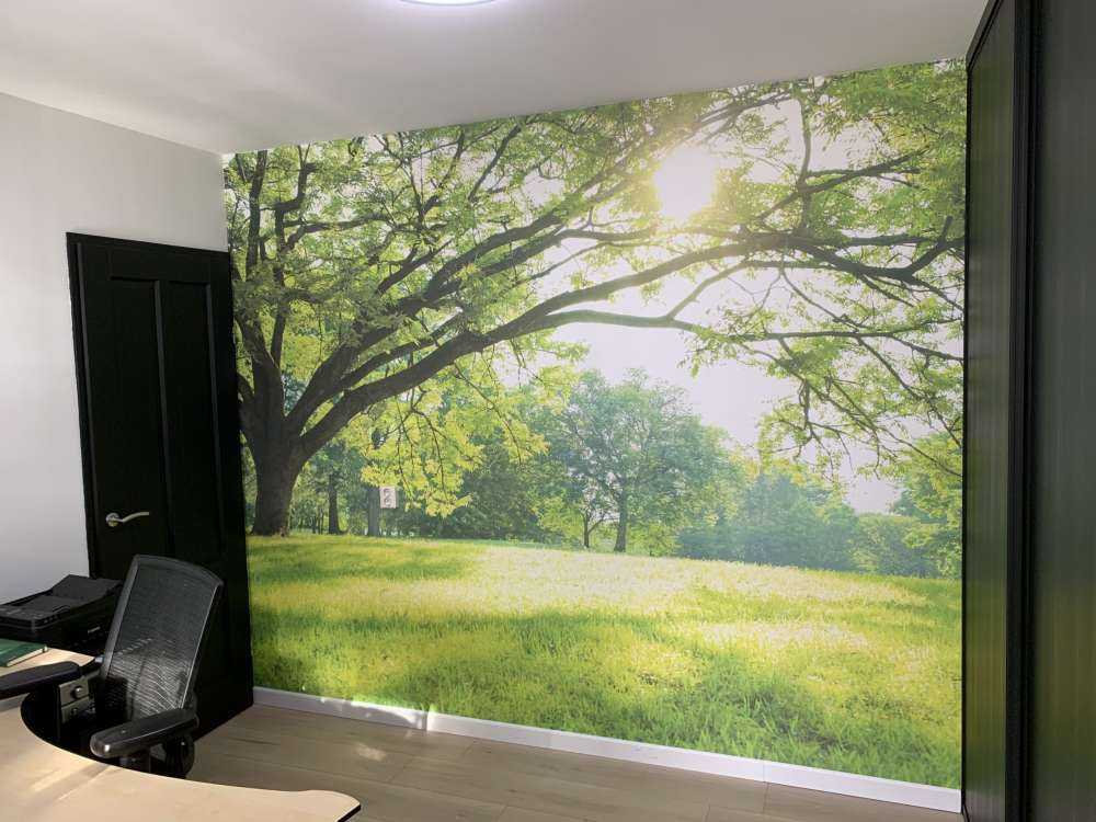 Bel arbre avec de l'herbe verte
