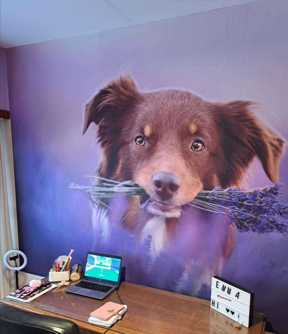 Chien à la lavande