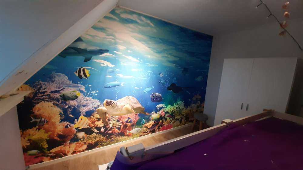 Poissons exotiques