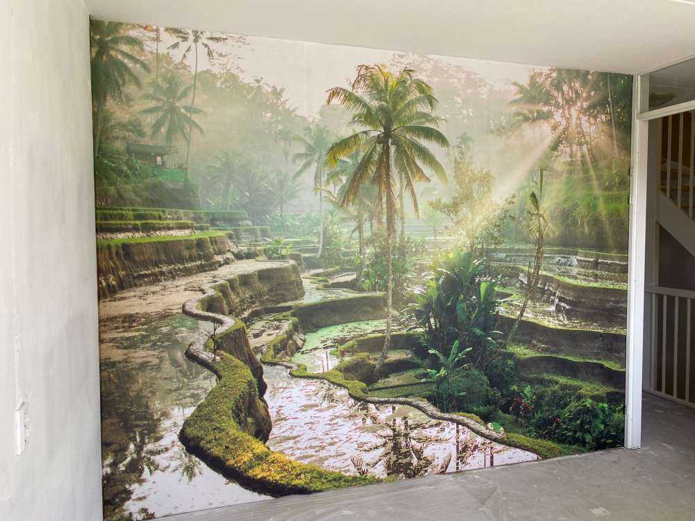 Des rizières dans la jungle
