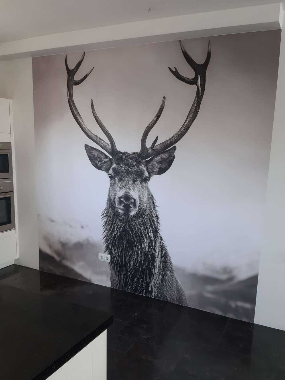 Gros cerf