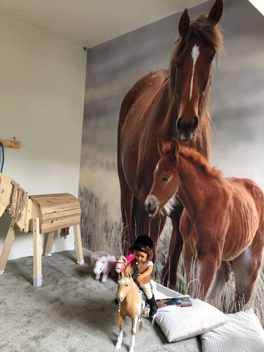 Chevaux sauvages