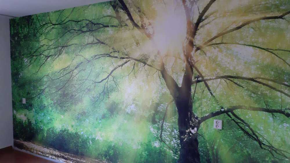 Grand arbre avec soleil