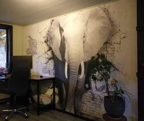 L'éléphant en 3D depuis le mur