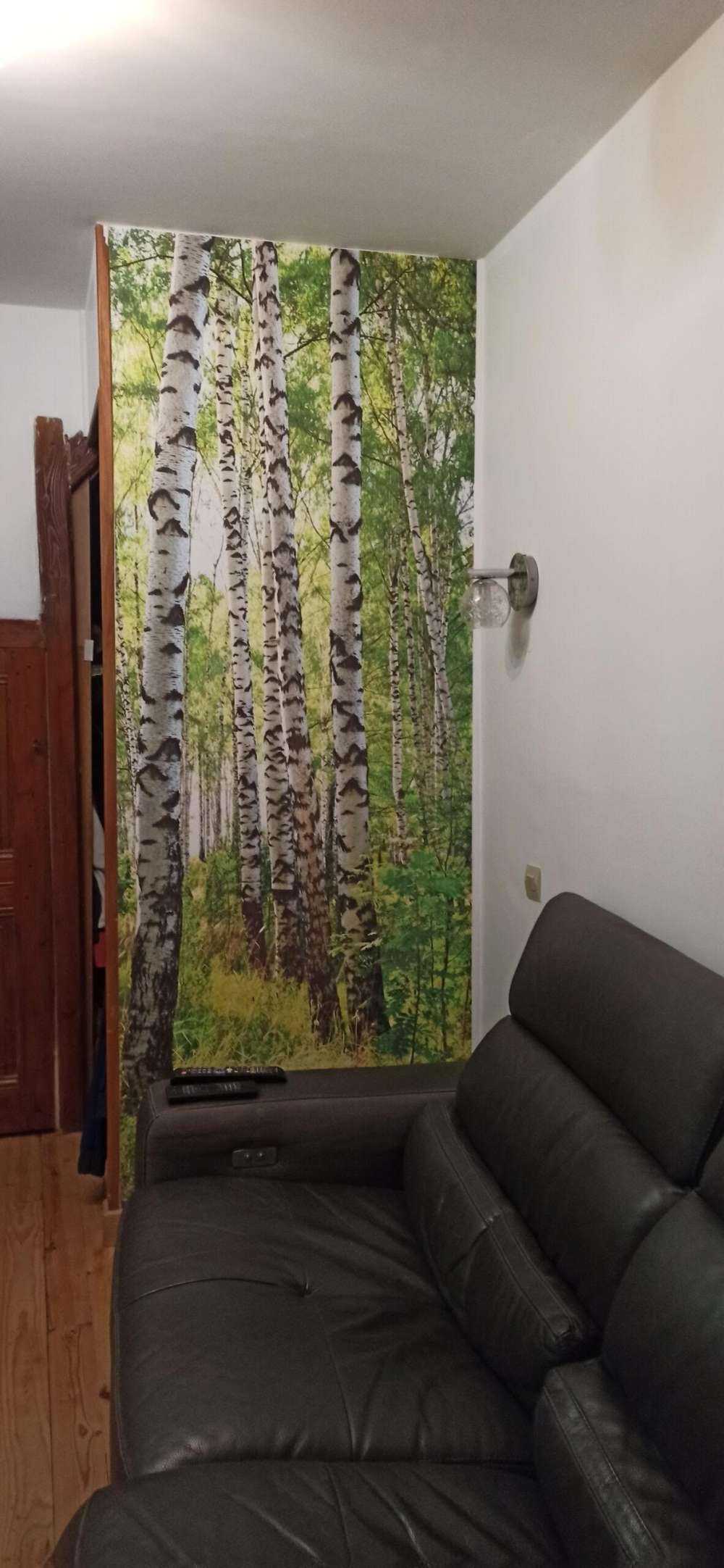 Troncs d'arbres