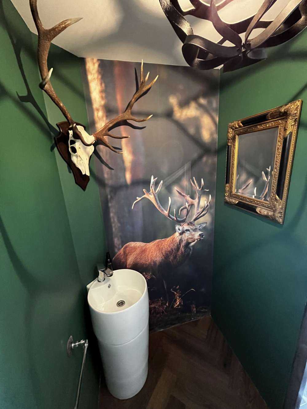 Un cerf sur une colline
