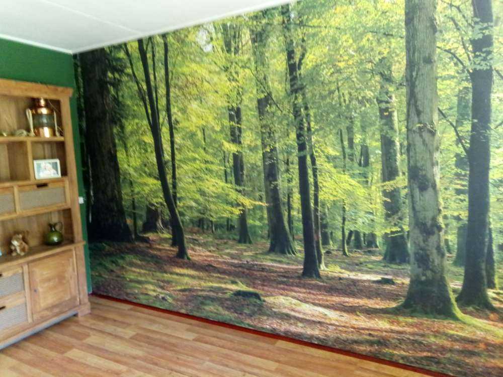 Promenade en forêt