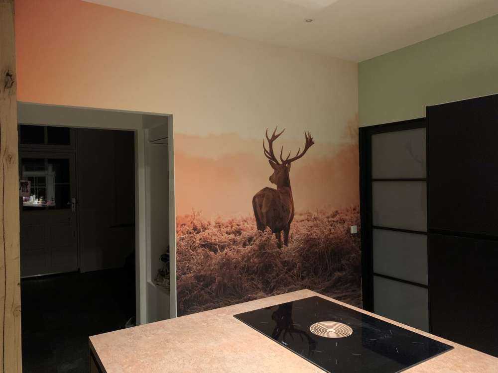 Cerf au lever du soleil