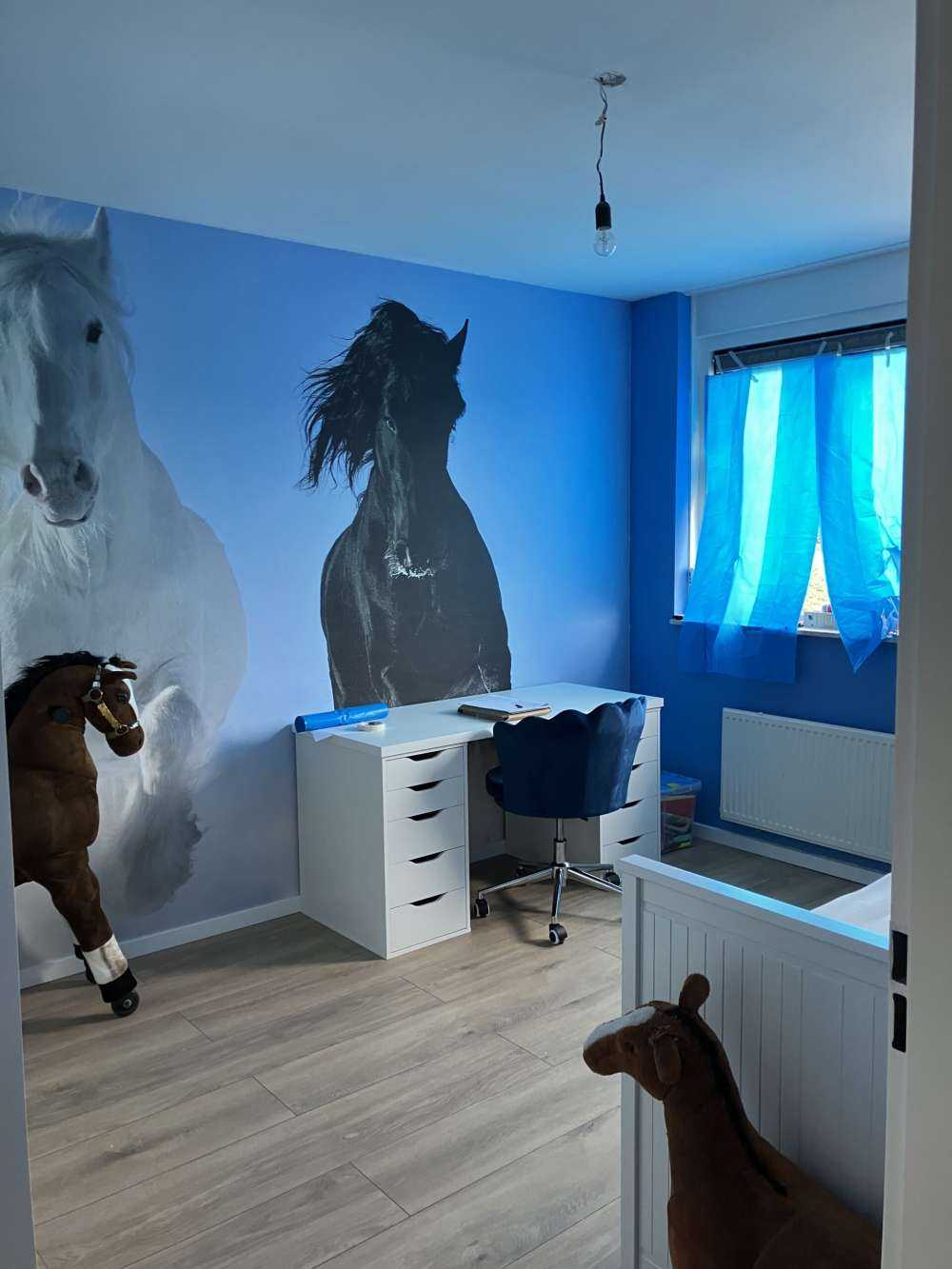 Cheval blanc et noir